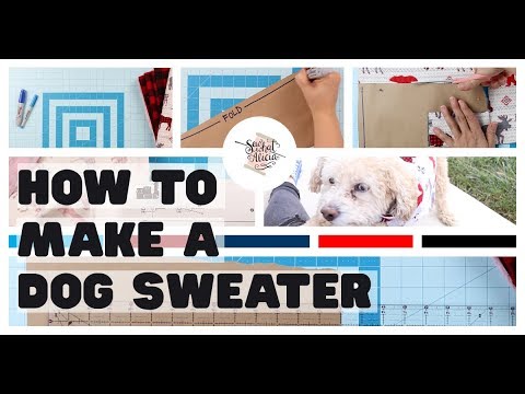 فيديو: كيفية خياطة الكلب