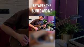 Between the Buried and Me — Memory Palace