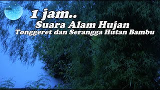 Rain sounds with insects sounds in Bamboo Forest | Suara Tonggeret dan Suara Hujan di Hutan Bambu