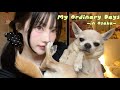[vlog] 새로 시작한 마사지 /치아미백 정착템은 이거/ 요즘 데일리 추천템/ 오사카 일상 브이로그 