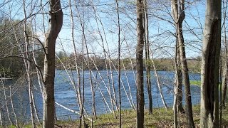 Negaunee Lot 116