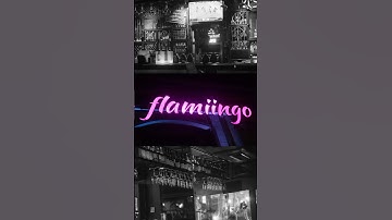 Flamingo Lounge 🦩 - Must visit Aesthetic bar & restaurant in Navi Mumbai 🔥