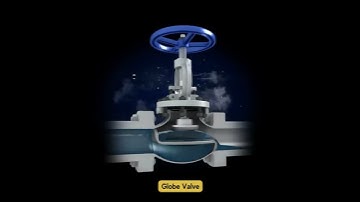 solidworks -3d model  -globe valve
