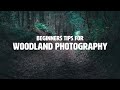 Woodland photography tips for beginners