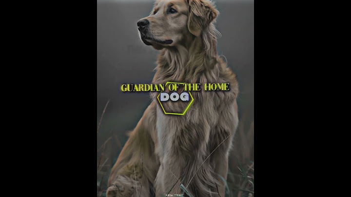 Dog vs Animals (in Loyalty) #shorts