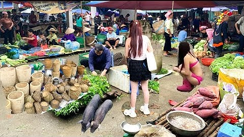Chợ Vĩnh Yên Bảo Yên Lào Cai & mộc Mạc Bán Toàn Đồ Rừng Quý,