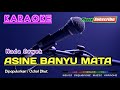 ASINE BANYU MATA (Nada Cewek) -Ochol Dhut- KARAOKE