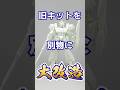 旧キット1/220 Zガンダムを現代風プロポーションに大改造したら…