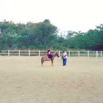 Riding Exercise (2nd Session)