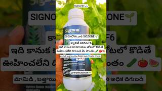 Sigzone-F6 కవలట F6
