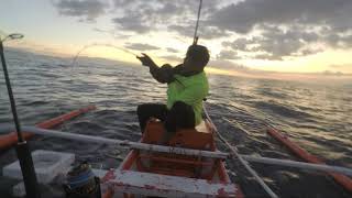 Two Jambo Ruby Snapper Caught on Jigging
