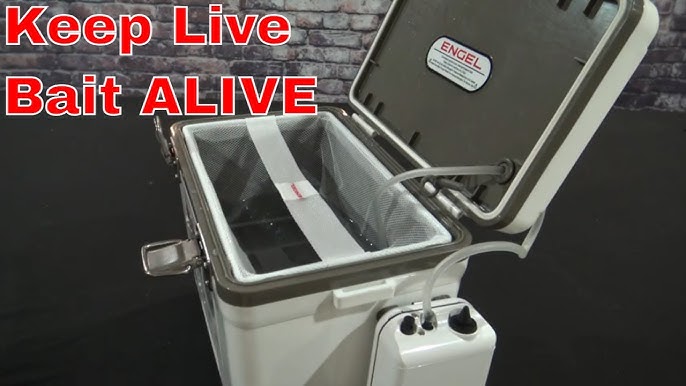 Best Minnow Bucket & Mods! Engel Live Bait Cooler 13 QT & 7.5 QT