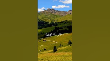 [سورة يوسف – الآية 101] القارئ محمود علي البنا