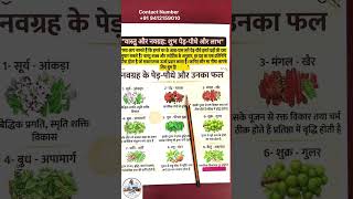 🔥 Vastu Tips for Home | Kitchen Vastu & Lucky Plants According to Vastu | SK HOUSE PLANS S No 3587