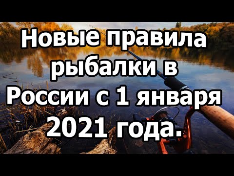 Видео: Лучшие предложения на рыбалку в прайм-день 2021 года: предложения прямо сейчас