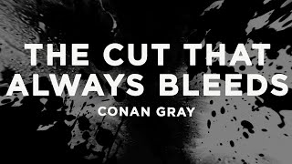 Download Lagu Conan Gray - The Cut That Always Bleeds (Lyrics) MP3 Download Lagu Conan Gray - The Cut That Always Bleeds (Lyrics) MP3