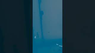 OMEGA WOLFIE PLAYS RANDOM HORROR GAMES!!! GAMES | VRCHAT (OCULUS QUEST 2) #10 [SEASON FINALE] PART 2