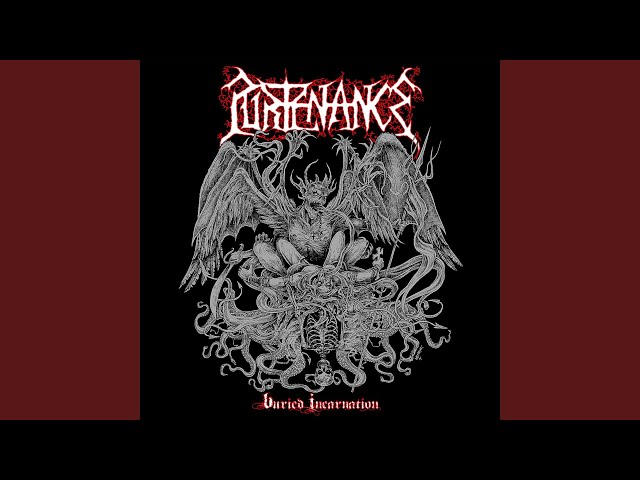 Purtenance - Shrouded Vision of Afterlife