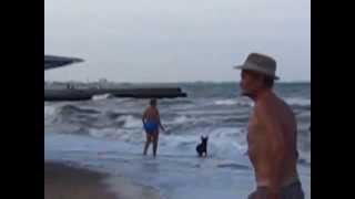 The Sea Runs High!...(Feodosia, Crimea, the 3d of August, 2014)