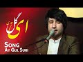 Meraj Wafa New Song 2020 معراج و فا رفتی ز برم ای گل سوری Meraj Wafa New Song 2020 معراج و فا رفتی ز برم ای گل سوری
