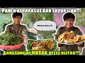 PANEN SAYUR ASPARAGUS DAN SAYUR LIAR!!! LANGSUNG DI MASAK PECEL BLITAR!!!