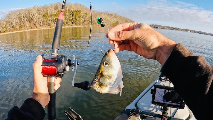 DIY Tape Measure Fishing Reel Catches FISH!