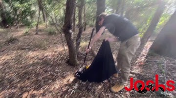 Carina Coastal Carpet Python *BITE* (catch and release)