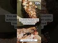 Neometals Ltd (ASX: NMT): Positive Metallurgical Sighter Test Work – Ironclad Gold Deposit