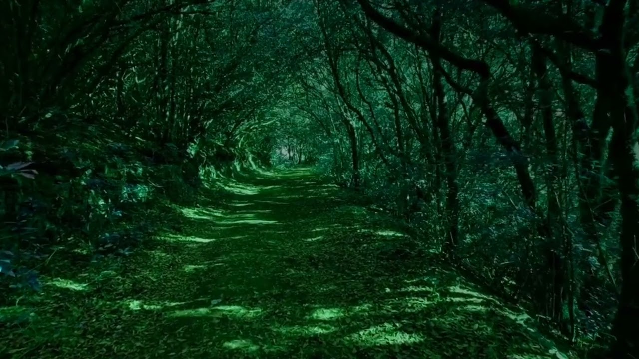 40 Hz 6 Hz Gamma Waves for Peak Cognitive Functioning and Improved Memory Concentration & Focus. 