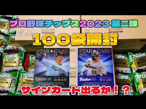 プロ野球チップスカード 2023 第2弾 コンプ (サイン無し) Amazon.co.jp: カルビープロ野球チップス2023 第二弾 松井裕樹