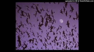 Free Trefuego X Not Type Beat Neverland