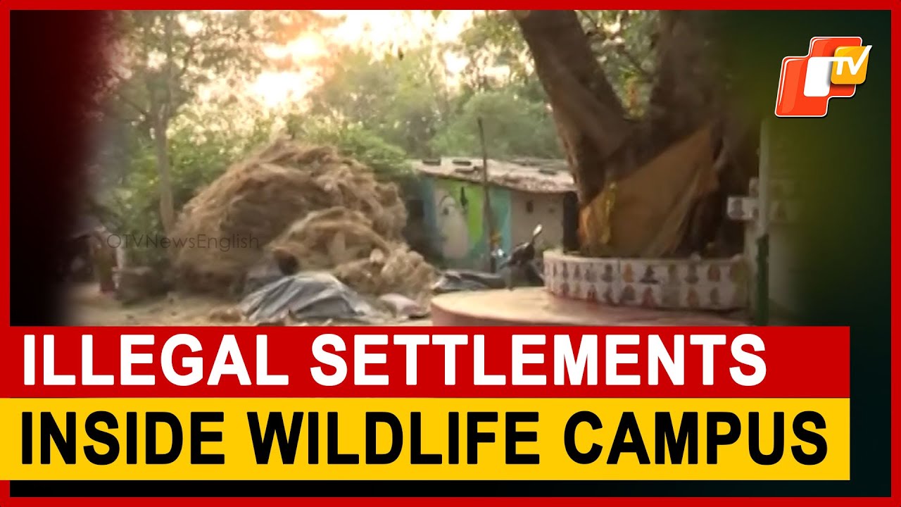 Illegal Encroachment Plagues Bhubaneswar Wildlife Range Office Campus | Odisha