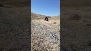 Download Massey Ferguson 260 Gold Tarla Biçimi Video MP3 Massey Ferguson 260 Gold Tarla Biçimi