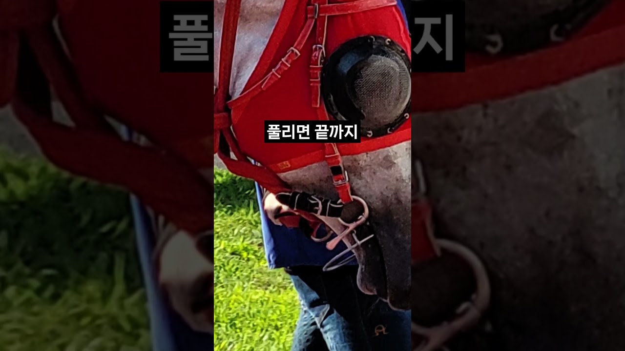 26.01.18 부산경마 03경주