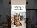 UX/UI designer ពេលបាយថ្ងៃហើយ