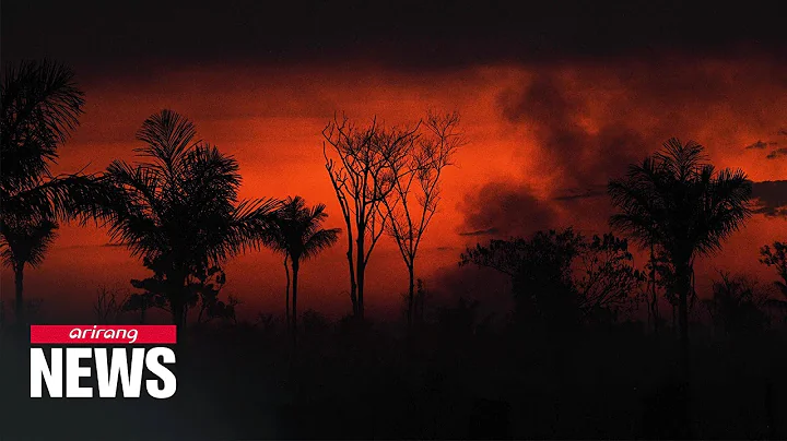 Deforestation in Brazilian Amazon hits January record