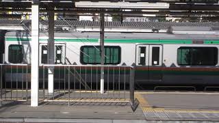 【東海道本線】E233系3000番台E15編成+E51編成　回送　国府津発車