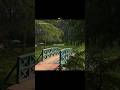 Dil Kehta Hai (Lofi/Slowed) | Relaxing Nature Views & Mountain Vibe 🏔️🍃