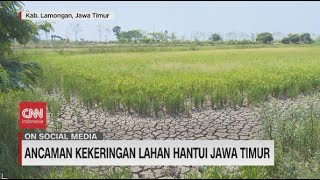 Ancaman Kekeringan Lahan Hantui Jawa Timur