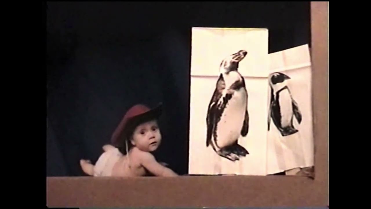 Videos from the past-penguins and me-a puppet show story
