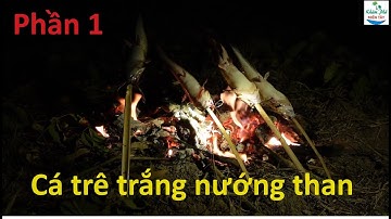 1264 | 24h săn bắt ở sông cái bé P1
