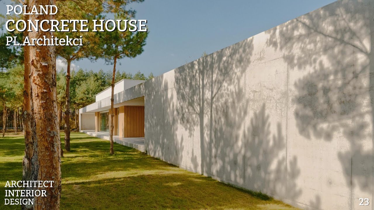 Concrete House: A Forest Residence for a Family of Four