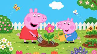 Peppa and George Grow a Magical Flower in Their Garden! 🌸✨ | Peppa Pig Animation