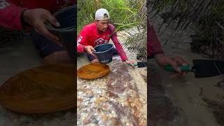a unique way to look for gold in the river #goldmining #goldpanning #unique #gold