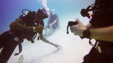 Open Water Diver Underwater Navigation Training