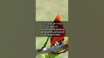 قرآن الكريم سورة آل عمران الآية 76The Holy Quran, Surah Al Imran, Verse 76 #قران_كريم #انقذوا_غزة