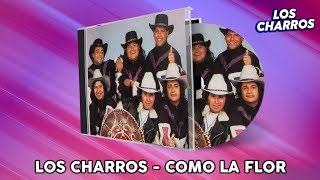 Video thumbnail of "Los Charros - Como La Flor"