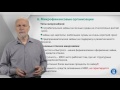 Курс лекций «Банковские услуги и отношение людей с банками». Лекция 6: Микрофинансовые организации