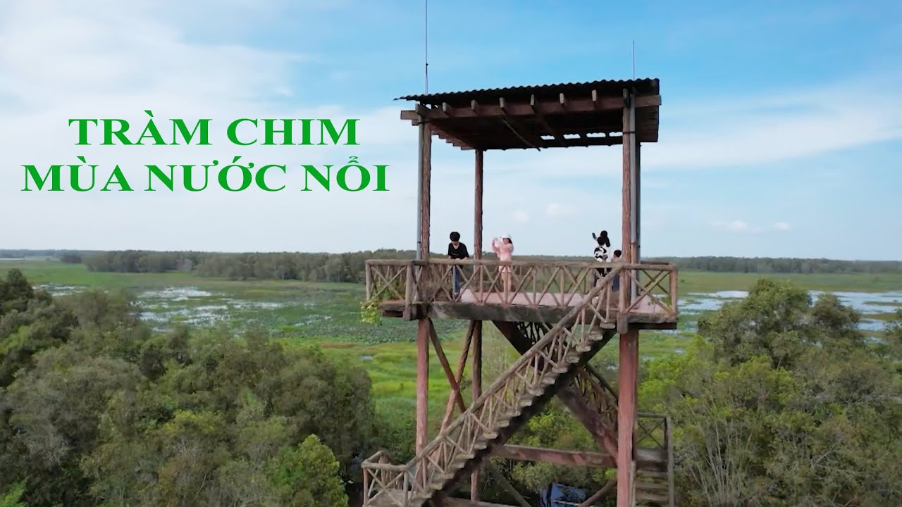 TRÀM CHIM MÙA NƯỚC NỔI