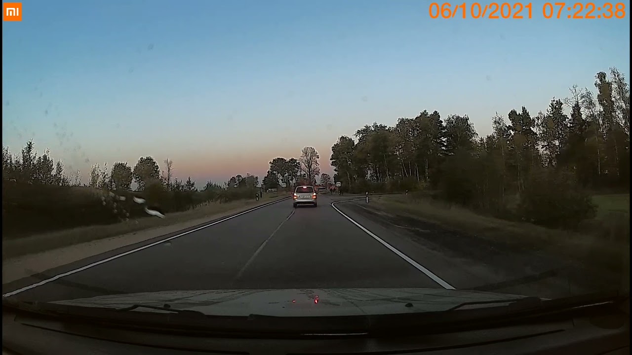 Непропуск пешехода, привольный. - YouTube